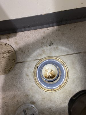 Access Plumbing Logo