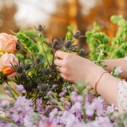 Meadow House Flowers & Gifts