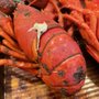 Photo of Earth & Sea Fish Market