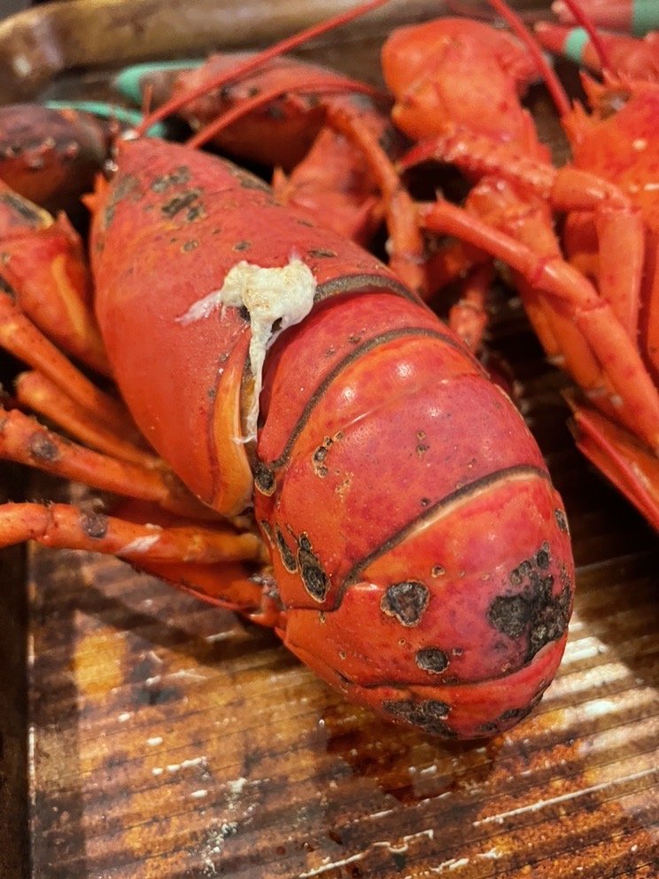 EARTH & SEA FISH MARKET Updated October 2024 3757 Richville Rd