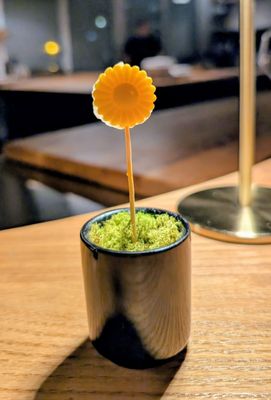 BRUTO by null BRUTO by null