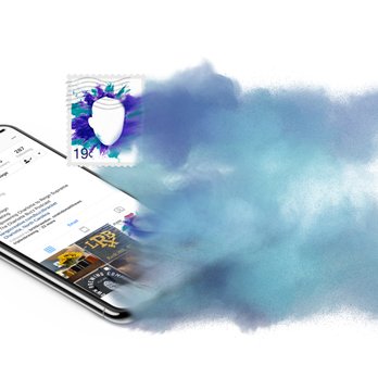 VanGo Creative - Web Design Near Me