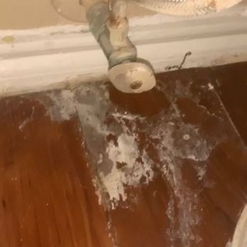 Alon at Castle Hills - Second bathroom toilet leak. - Apartments Near Me - San Antonio, Texas Alon at Castle Hills - Second bathroom toilet leak. - Apartments Near Me - San Antonio, Texas