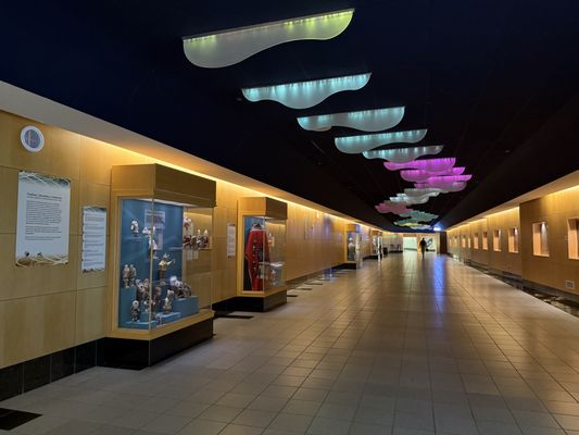 Ted Stevens Anchorage International Airport by null