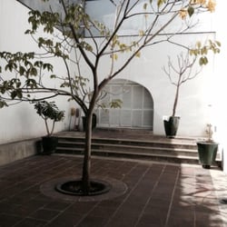 La Casa de la Ciudad - Patio trasero