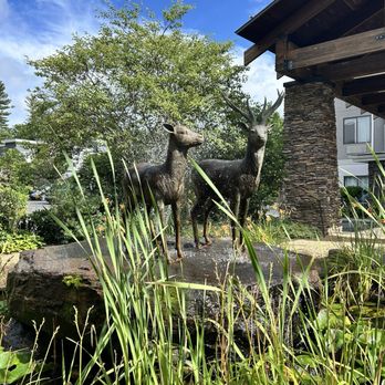 La Quinta by Wyndham Boone - Hotels Near Me - Boone, North Carolina La Quinta by Wyndham Boone - Hotels Near Me - Boone, North Carolina