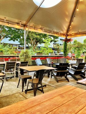 Migration Brewing x Pápa's Frita - Williams by null