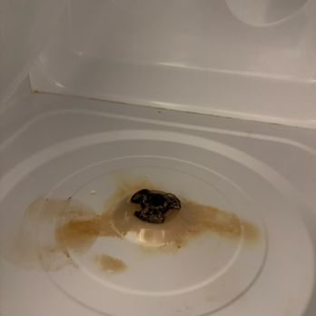 Quality Inn & Suites - Stand in the microwave under the glass bowl - Hotels Near Me - Bensalem, Pennsylvania
