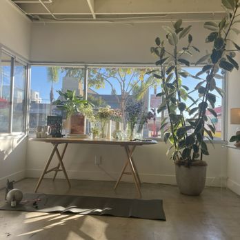 David’s Daughter - Florists Near Me - San Diego, California David’s Daughter - Florists Near Me - San Diego, California