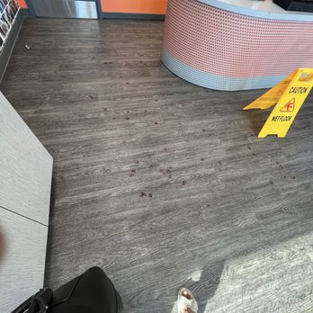 Dogtopia - Lobby of Dogtopia showing the bloody paws my dog made when he was brought out - Pet Boarding Near Me - Decatur, Georgia