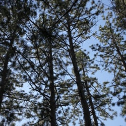 Fallison Lake Nature Trail