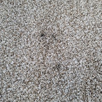 Saint Aubyn Homes - Stains Master bedroom carpet. Everyone wore their work boots on new carpet. - Real Estate Services Near Me - Colorado Springs, Colorado