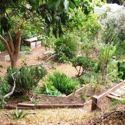 Dogpatch/Miller Memorial Garden - Dogpatch Miller Memorial Garden in Bernal Heights, nice community garden, great for picnics, sunbathe, or just relax.