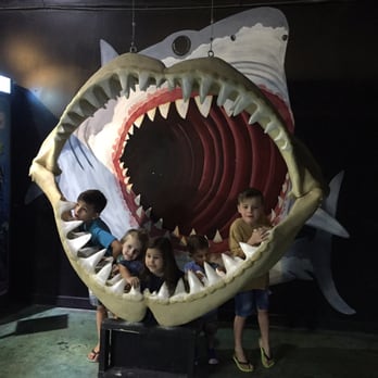 Austin Aquarium - Aquariums Near Me - Austin, Texas