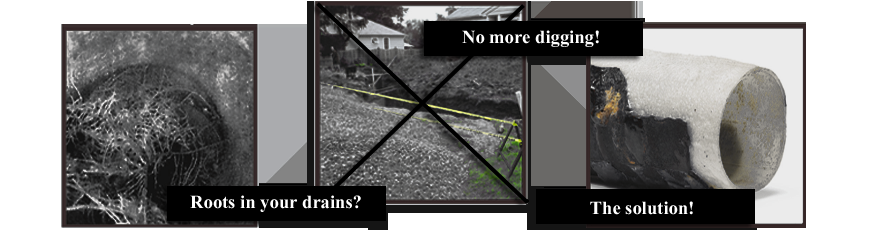 Slide of New England Pipe Restoration