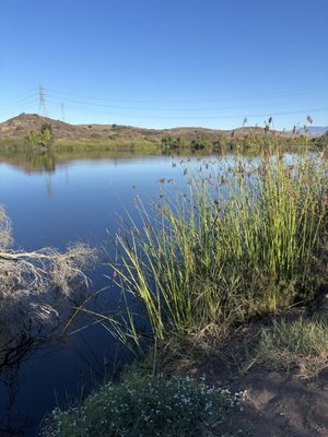 Laguna Coast Wilderness Park: Big Bend by null