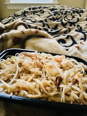 Bangkok Pinto by null