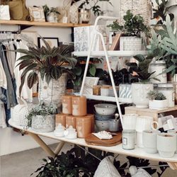 Rare Bloom - Front center display table