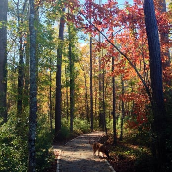 New Bern Battlefield Park - Parks Near Me - New Bern, North Carolina