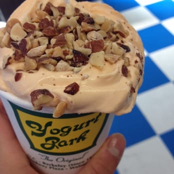 Yogurt Park - Pumpkin pie with almonds! - Ice Cream & Frozen Yogurt Near Me - Berkeley, California Yogurt Park - Pumpkin pie with almonds! - Ice Cream & Frozen Yogurt Near Me - Berkeley, California