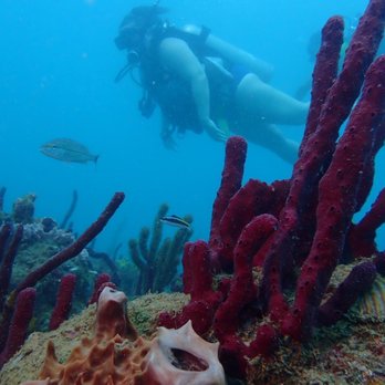 Great Escape - Snorkeling Near Me - Orlando, Puerto Rico