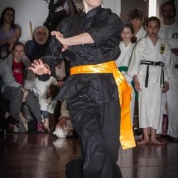 International Karate Association - The art of Kung Fu