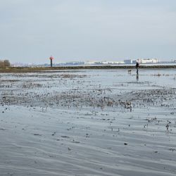 Falkensteiner Ufer