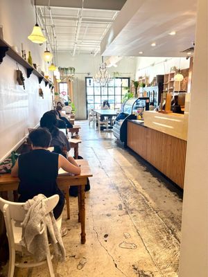 Blkdog Coffee by null