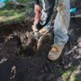 Photo of All Family Plumbing