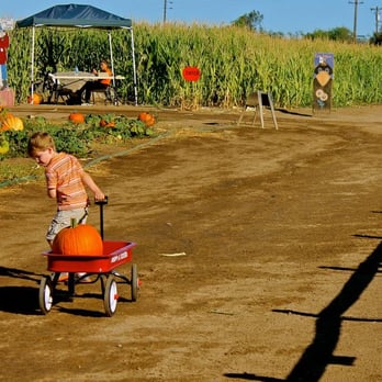 Mountain Valley Ranch 237 Photos 75 Reviews Pumpkin Patches 842 Hwy 78 Ramona Ca Phone Number Yelp