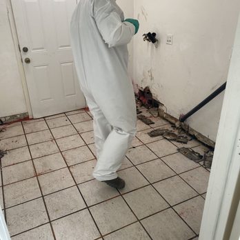 All Damage Restoration - Damage Restoration Near Me All Damage Restoration - Damage Restoration Near Me
