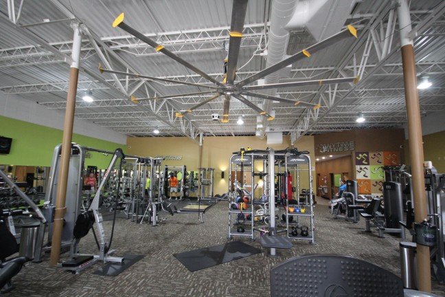 Anytime Fitness Logo