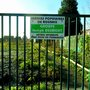 Photo of Jardins Populaires de Roubaix