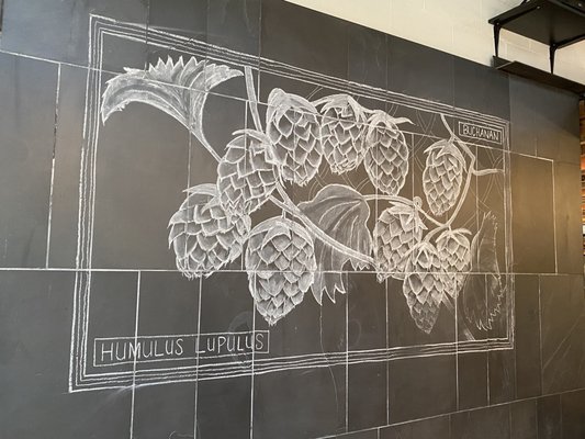 Standard Beer + Food by null