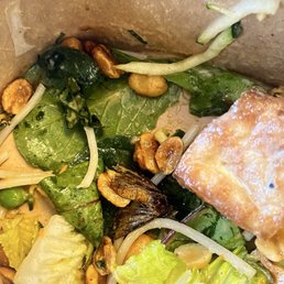 The Asian Salad with a huge moth in it