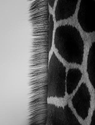 Daphne European Skincare & Sugaring Studio by null