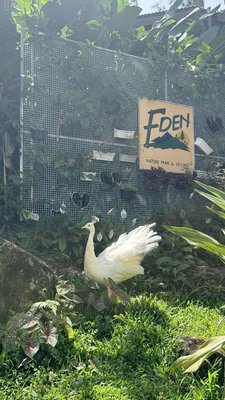 Eden Nature Park & Resort by null