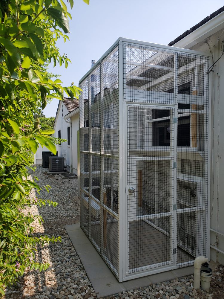 PET ZONES 2 Updated August 2024 58 Photos 1640 E Edinger Ave, Santa Ana, California Pet