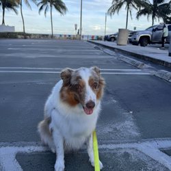 Loggerhead Park