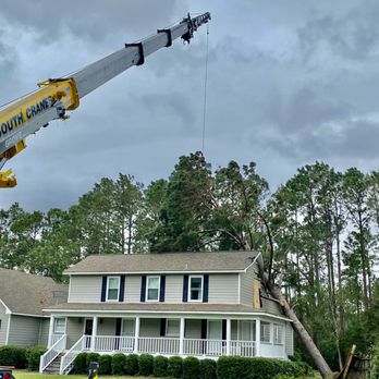 Crane Tree Removal - 120' to reach this big pine. - Tree Services Near Me