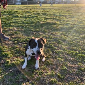 My Neighborhood (OB & Point Loma)