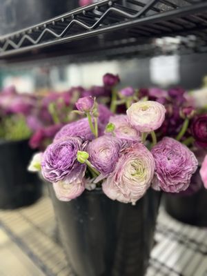 The Original Los Angeles Flower Market by null