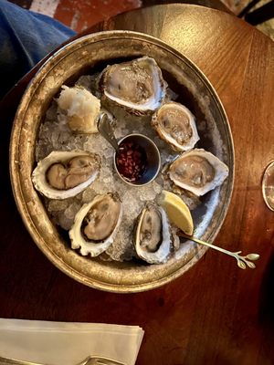 The Shellmore by null