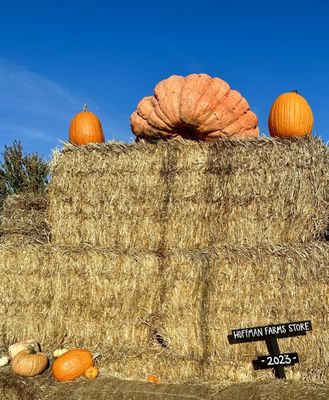 Hoffman Farms Store by null