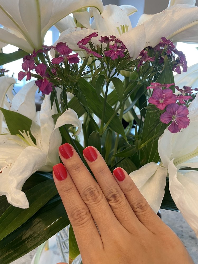 THE NAIL LOUNGE 61 Photos & 48 Reviews 3140 Village Vista Dr, Erie