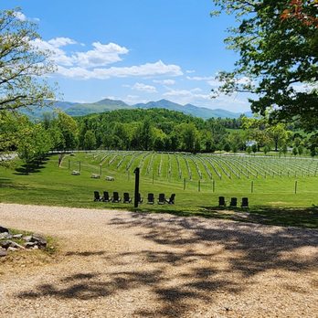 Ecco Adesso Vineyards - Wineries Near Me - Fairfield, Virginia