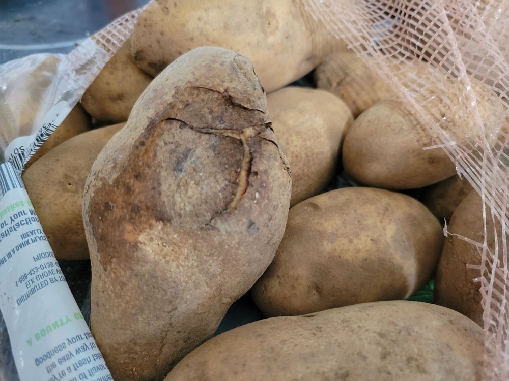 FOOD CITY Updated September 2024 180 Rutledge Pike, Blaine