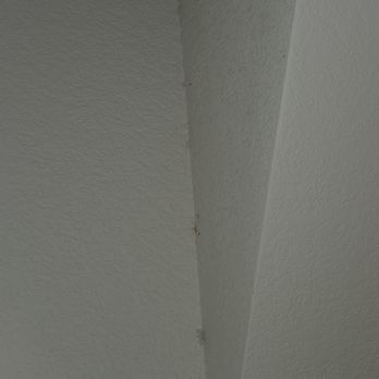 Mystik Cleaning Service - Spiderwebs - Home Cleaning Near Me - Austin, Texas Mystik Cleaning Service - Spiderwebs - Home Cleaning Near Me - Austin, Texas