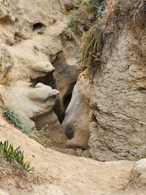 La Jolla Trail by null