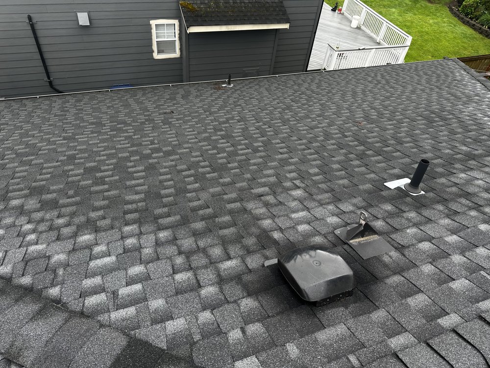 Slide of Apex Pro Kleening